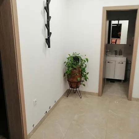 Bakota *